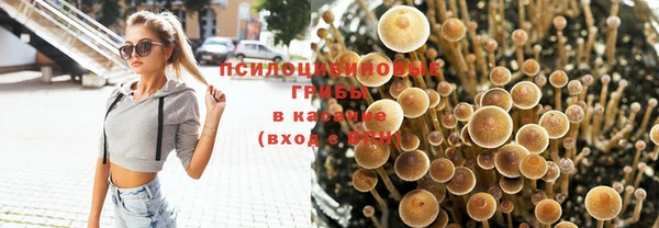 кристаллы Алексеевка