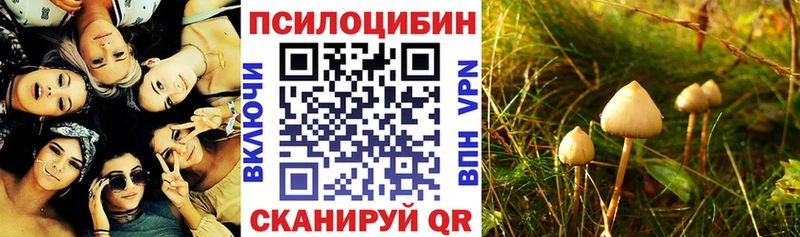 купить  цена  Козьмодемьянск  Галлюциногенные грибы MAGIC MUSHROOMS 